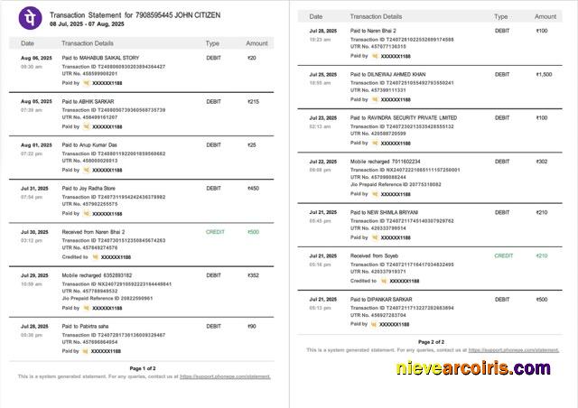 India PhonePe transaction statement Word and PDF, 2 pages